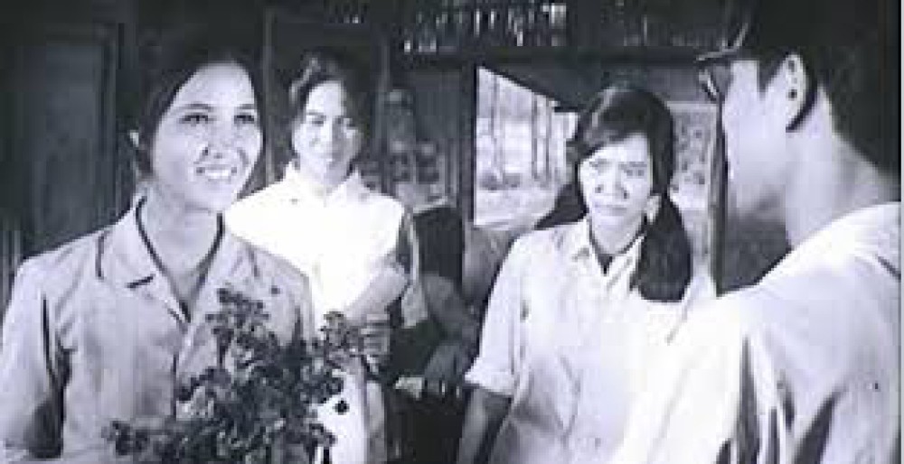 Bình Minh Xôn Xao - Bình Minh Xôn Xao