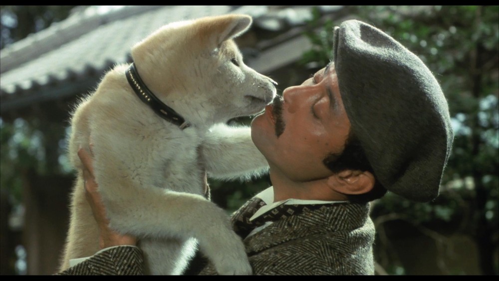 Câu Chuyện Về Chú Chó Hachiko Hachi-ko