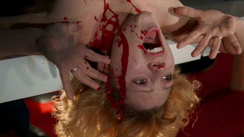 Đêm của kẻ bị săn đuổi - The Night of the Hunted