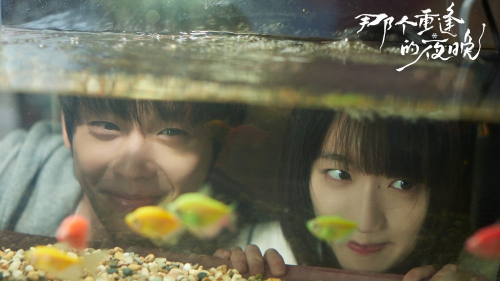 Đêm Đoàn Tụ Ấy - We Shall Meet Again