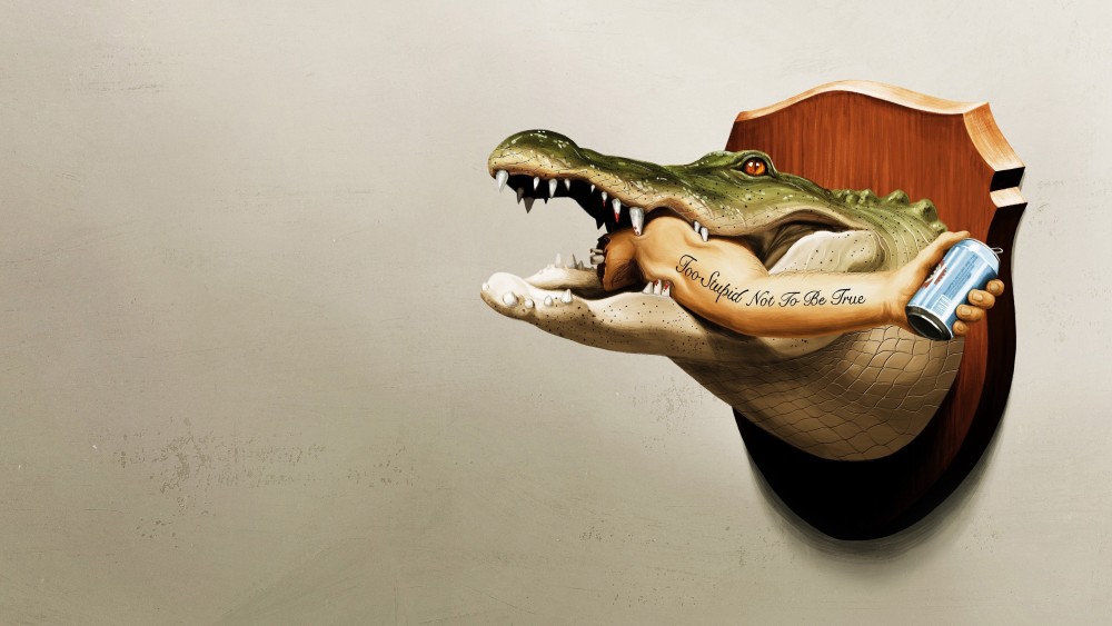 Florida Là Thế Đó - It's Florida, Man.