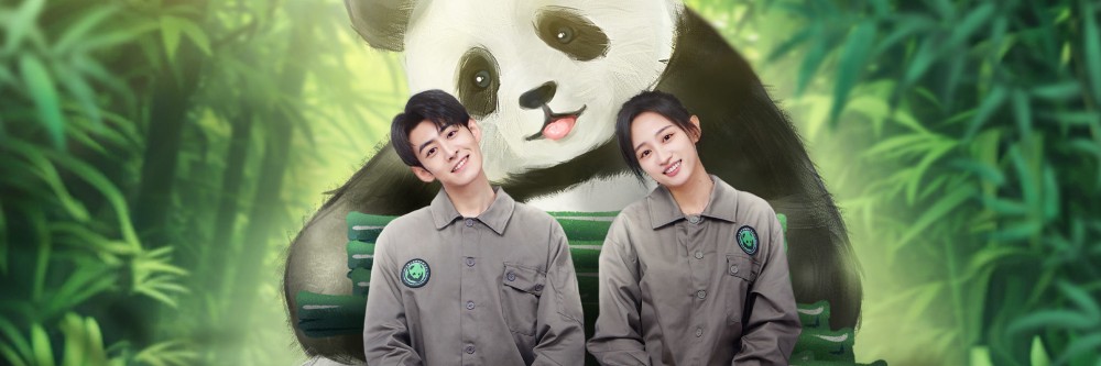 Gấu Trúc Và Bạn, Lăn Đến Đây! - Panda & You Rolling In