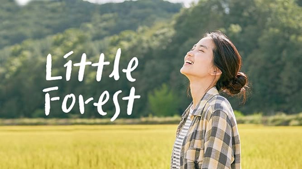 Khu Rừng Nhỏ Little Forest