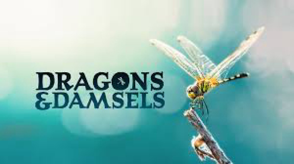 Loài Chuồn Chuồn - Dragons and Damsels