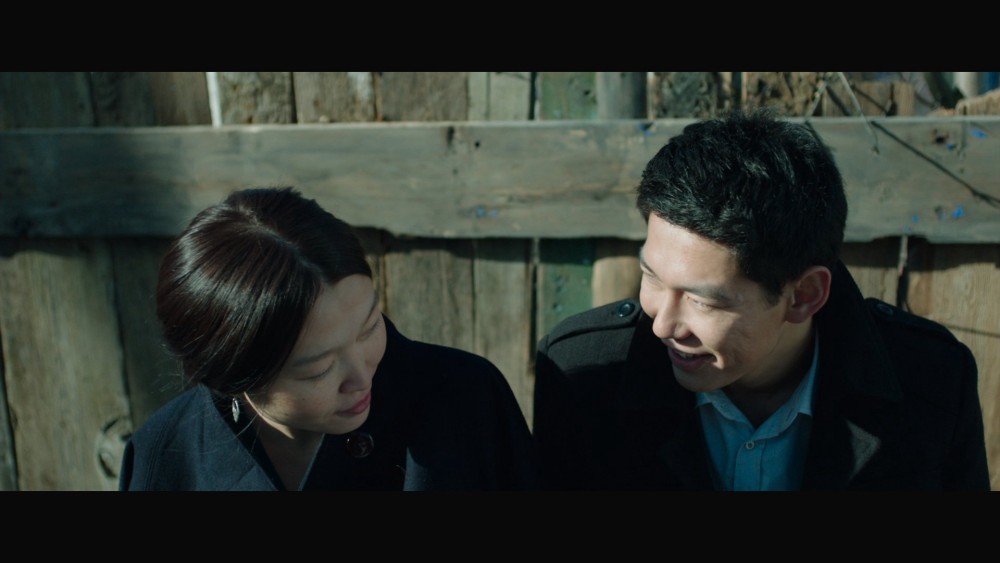 những con mòng biển