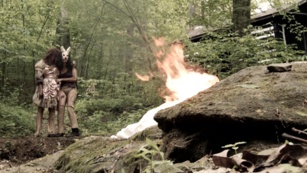 Plank Face - Plank Face