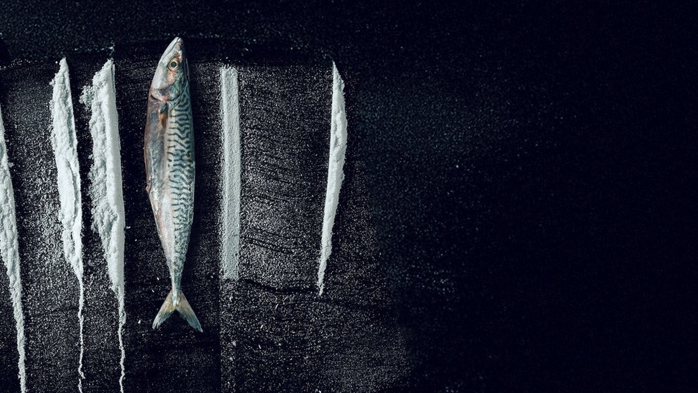 Sống Triều Đổi Vận: Câu Chuyện Siêu  Thực Tế Rabo de Peixe