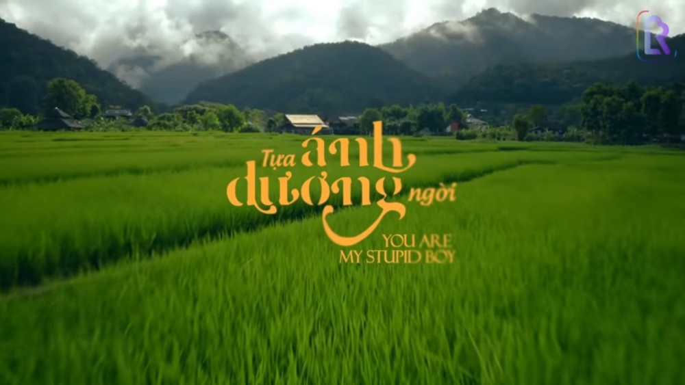 Tựa Ánh Dương Ngời You Are My Stupid Boy