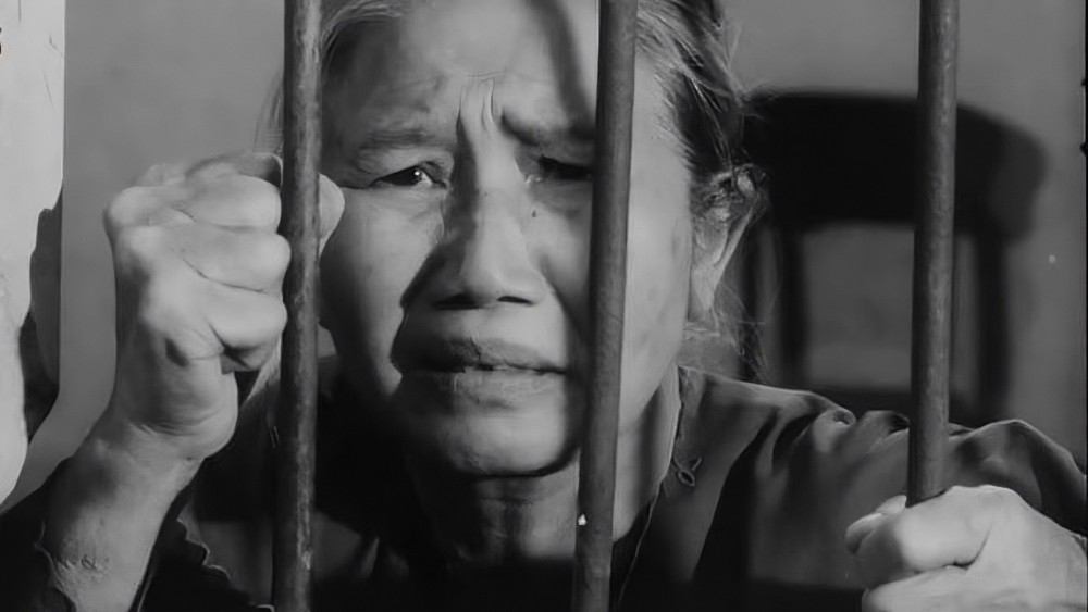 Tướng Về Hưu - The General Retires