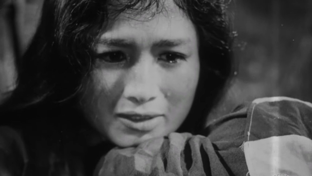 Vĩ Tuyến 17 Ngày Và Đêm - 17th Parallel, Nights and Days